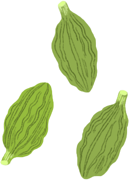 illustration of whole spice Baraka Cardamom