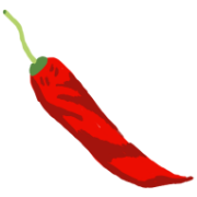 illustration of whole spice