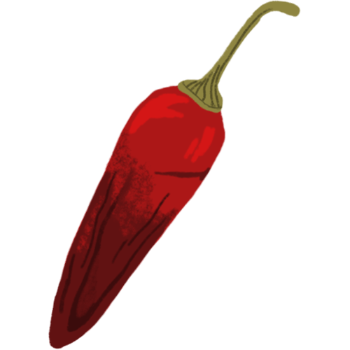 illustration of whole spice Kashmiri Chilli