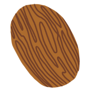 illustration of whole spice Anamalai Nutmeg