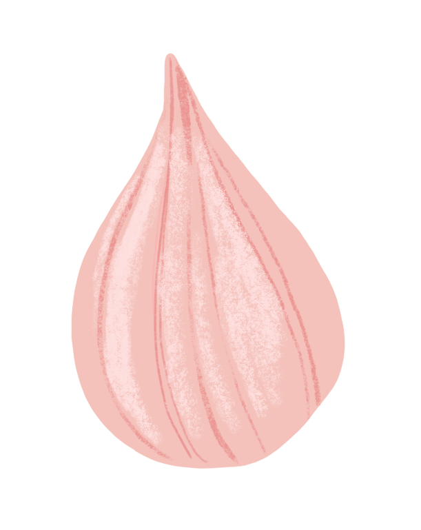 illustration of whole spice Pahadi Pink Garlic