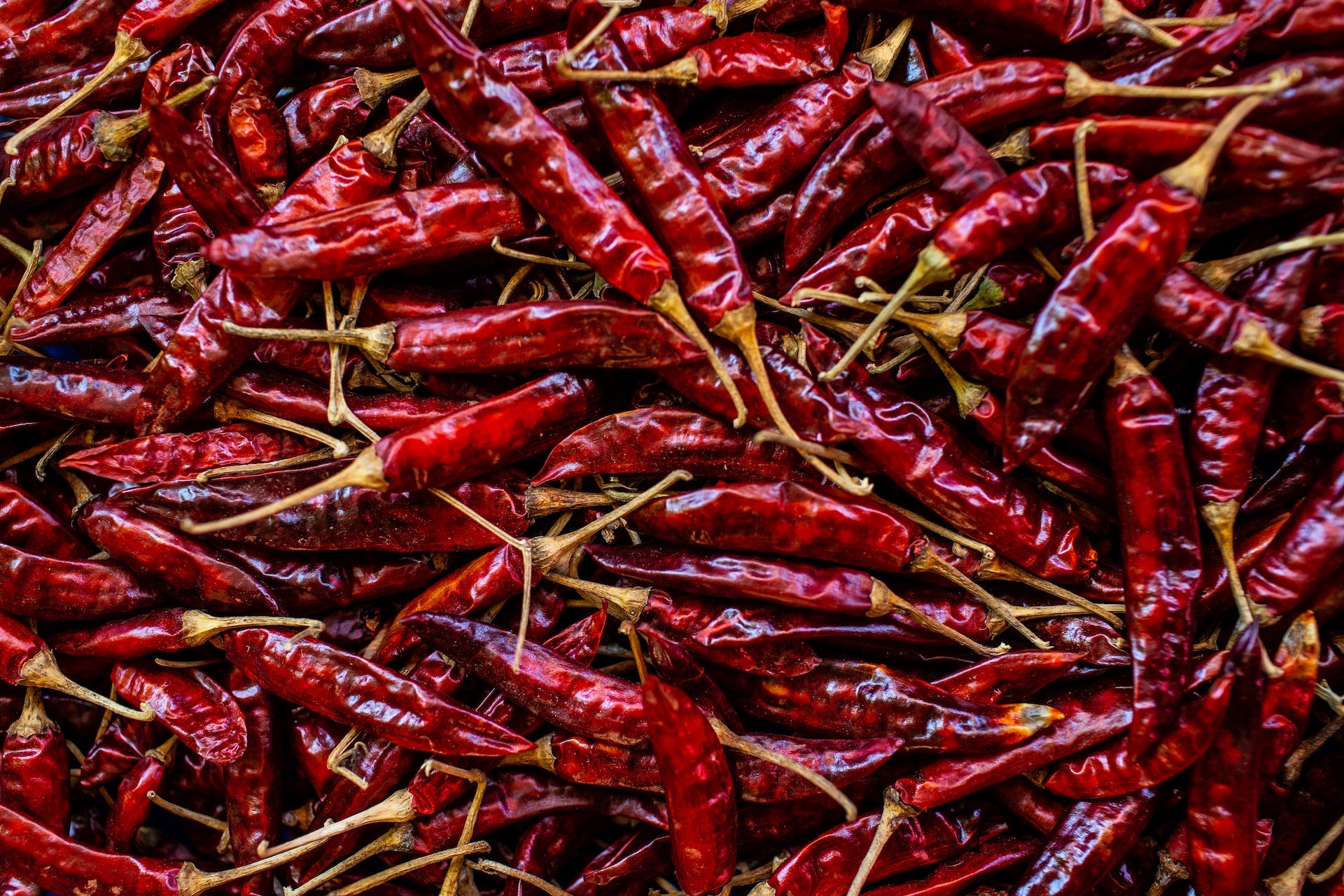 Whole dried chillies in a burlap bag