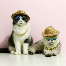 Load image into Gallery viewer, Pet Hat &amp; Accessories | Fashionsarah.com | PP Golden Necklace |  | #description#