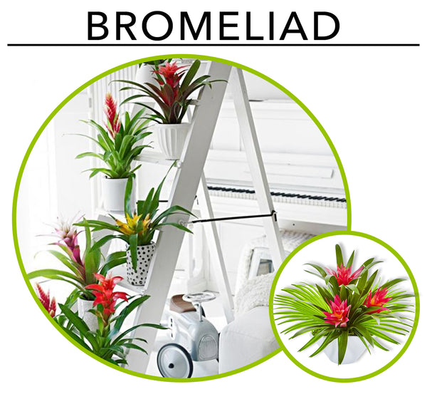 Tropic Like its Hot; Artificial Plants To Create Your Own Urban Jungle Indoors: Bromeliads