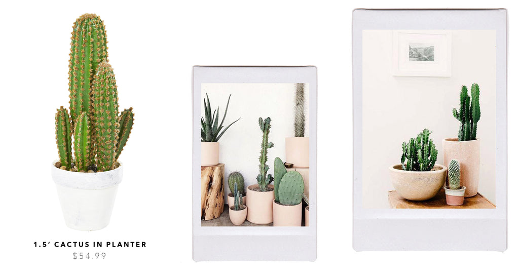 Create Your Own Desert-Scape With Artificial Cacti & Succulents