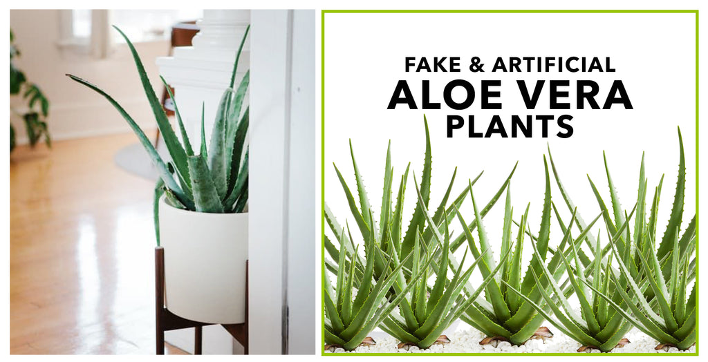 Fake & Artificial Aloe Plants