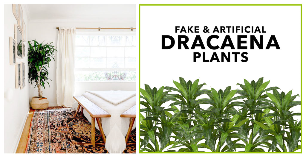 Fake & Artificial Dracaena Plants