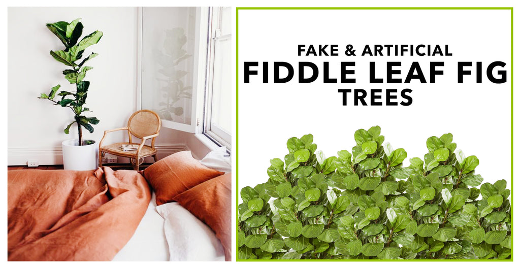 Fake & Artificial Fiddle Leaf Fig