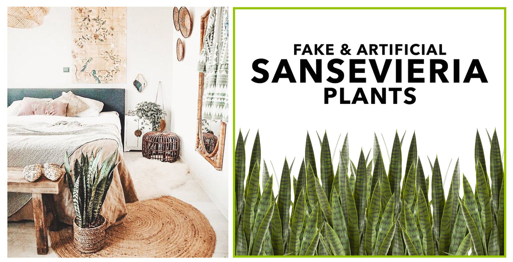 Fake & Artificial SANSEVIERIA