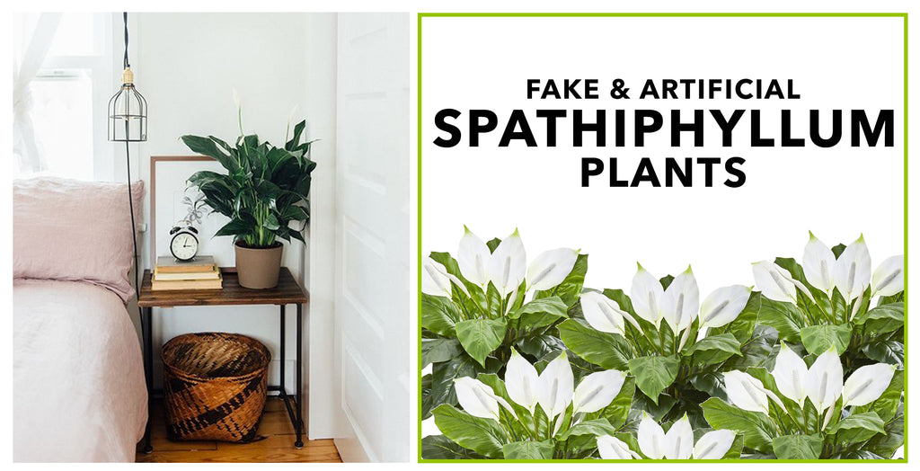 Fake & Artificial Spathiphyllum