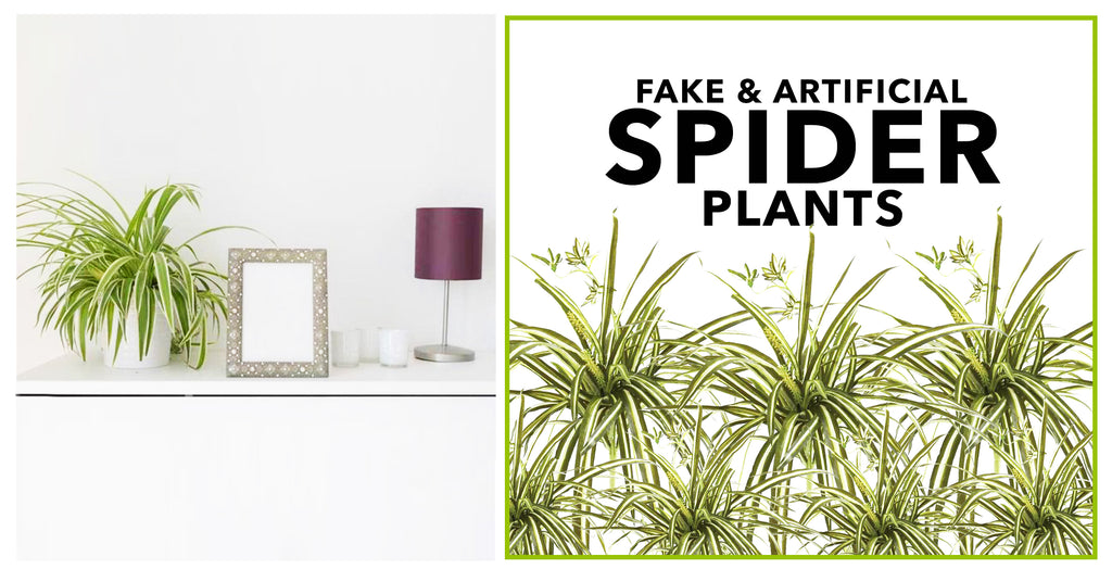 Fake & Artificial Spider Plants