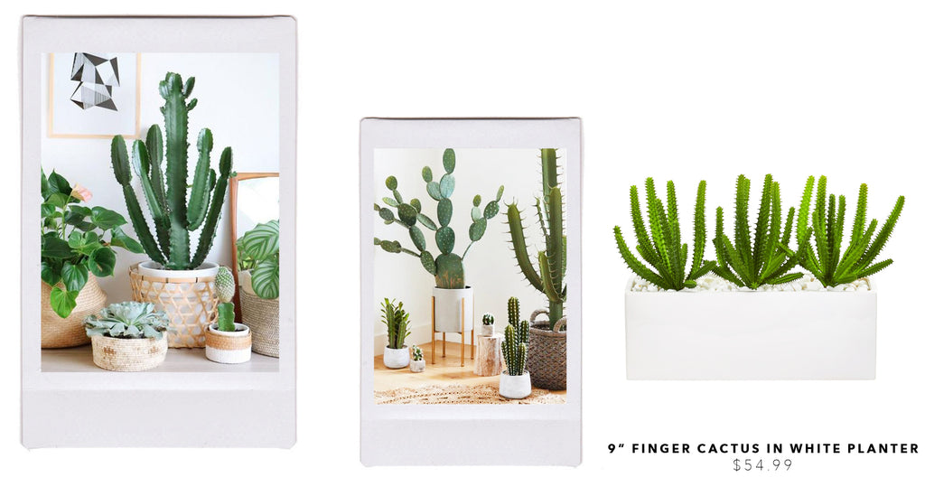 Create Your Own Desert-Scape With Artificial Cacti & Succulents