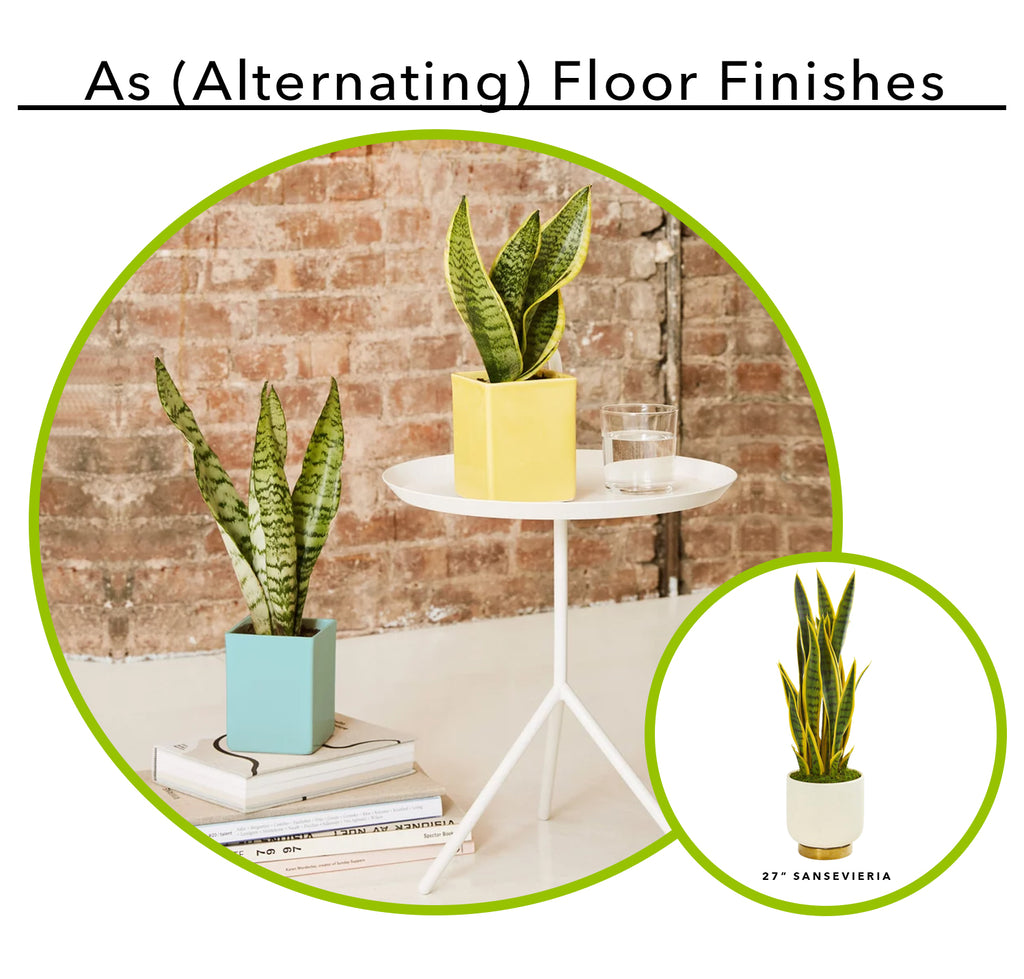 Using Artificial Succulents As Alternating Floor Finishes