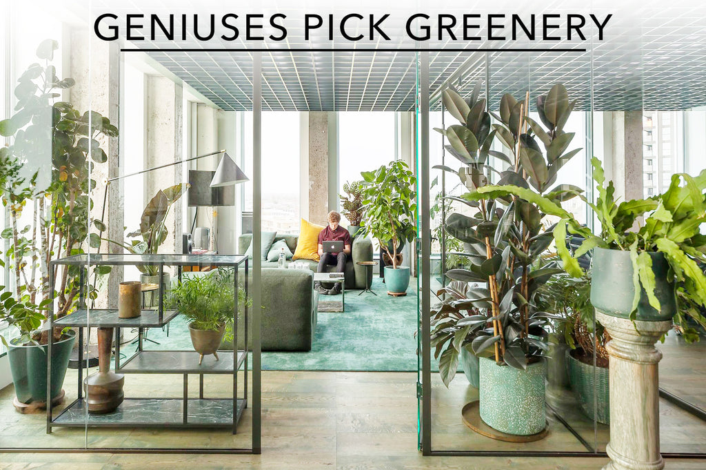 Genius Pick Green