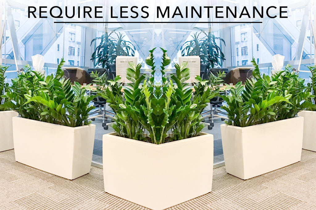 Real vs Fake Plants For The Workplace – Nearly Natural