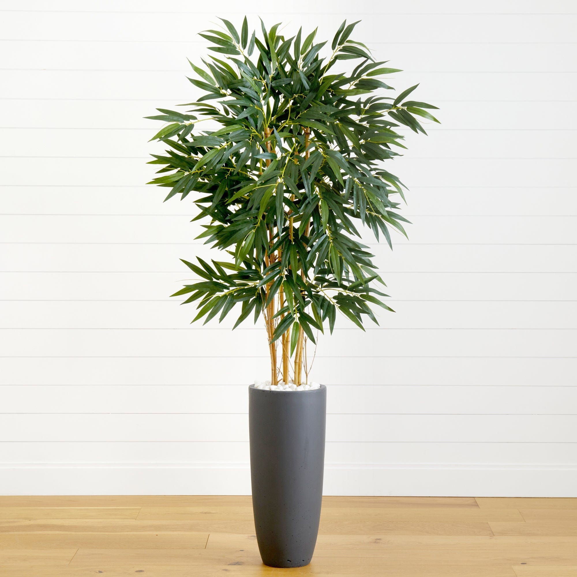  5.5’ Bamboo Tree in Gray Cylinder Planter 