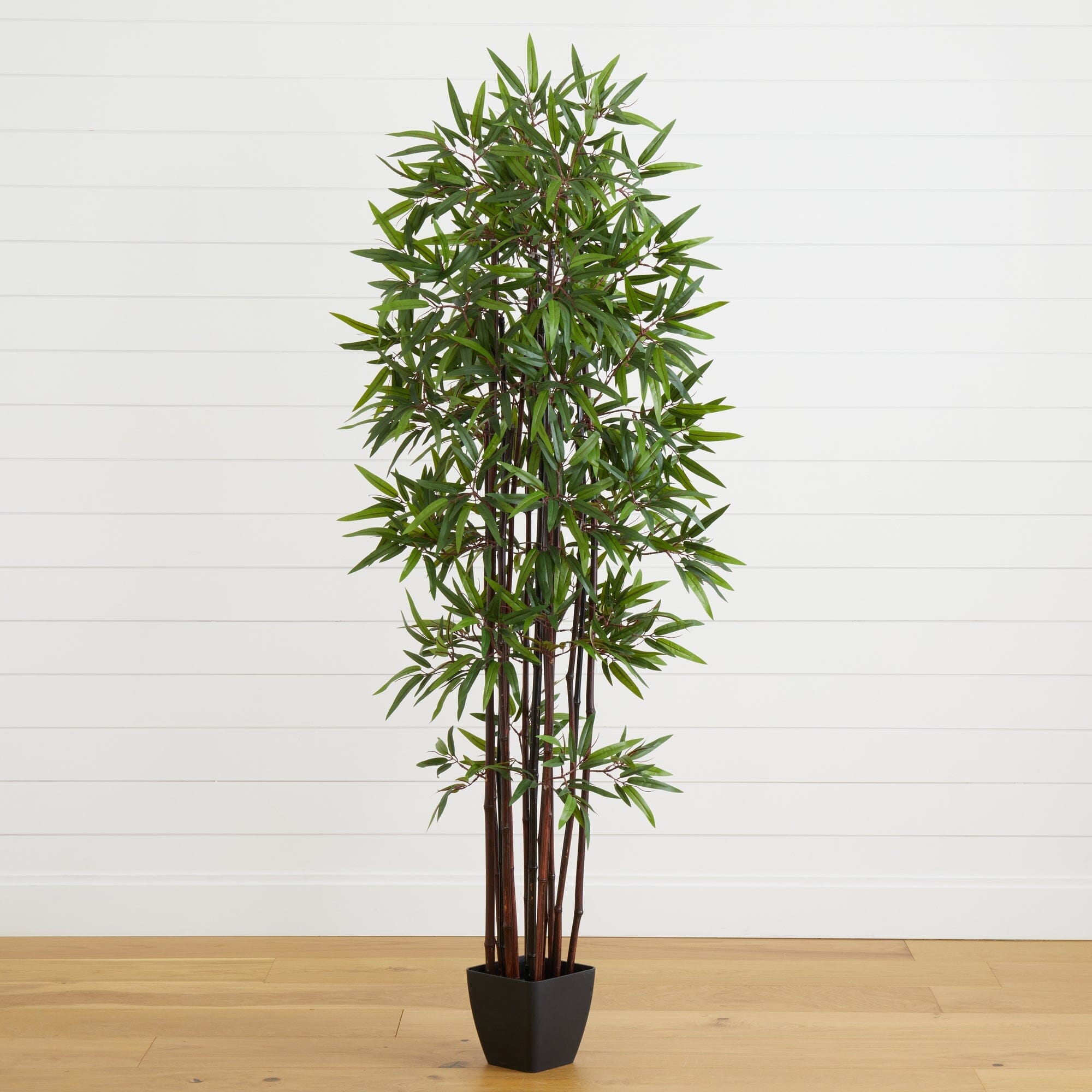  6’ Bamboo Silk Tree w/Planter 