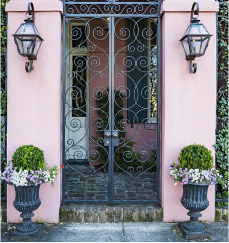 30 Best Front Door Plants To Upgrade Your Entry 2024