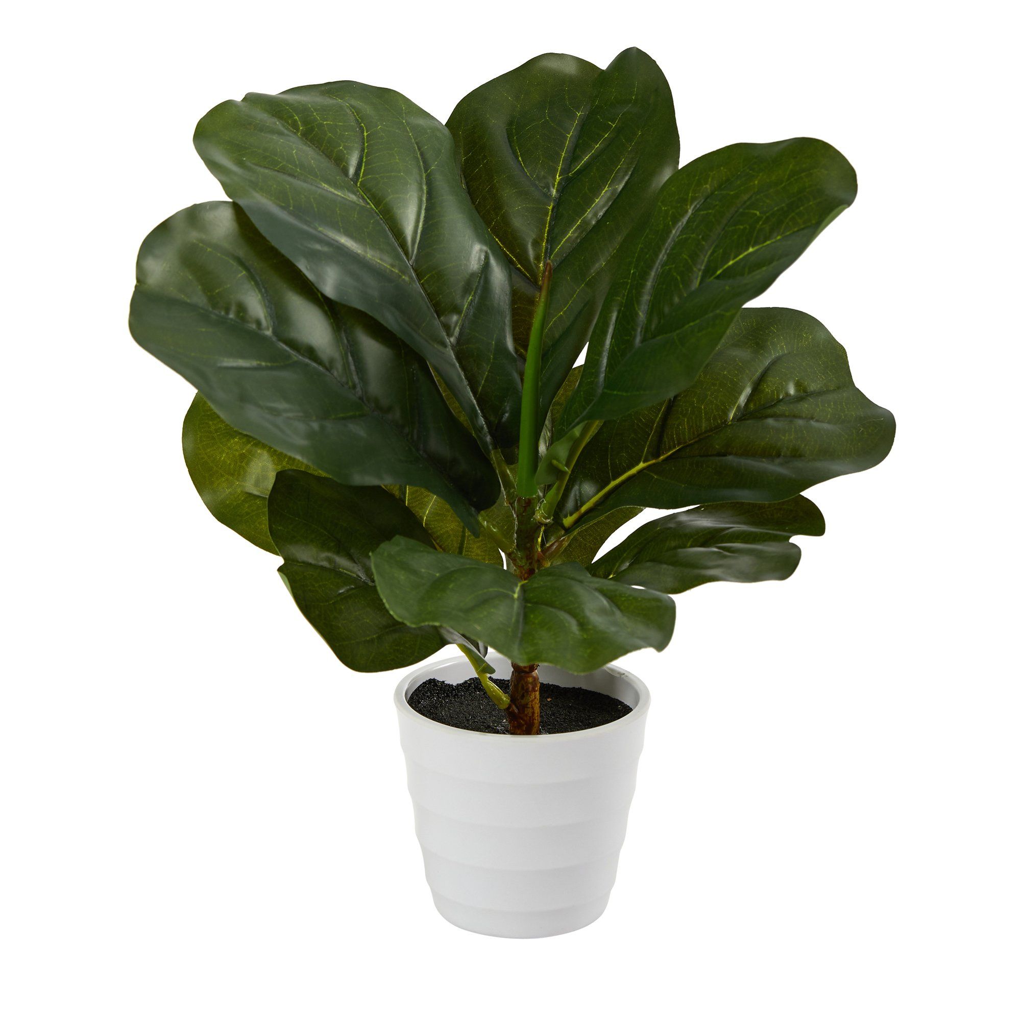  11” Fiddle Leaf Artificial Plant in White Planter (Real Touch) 