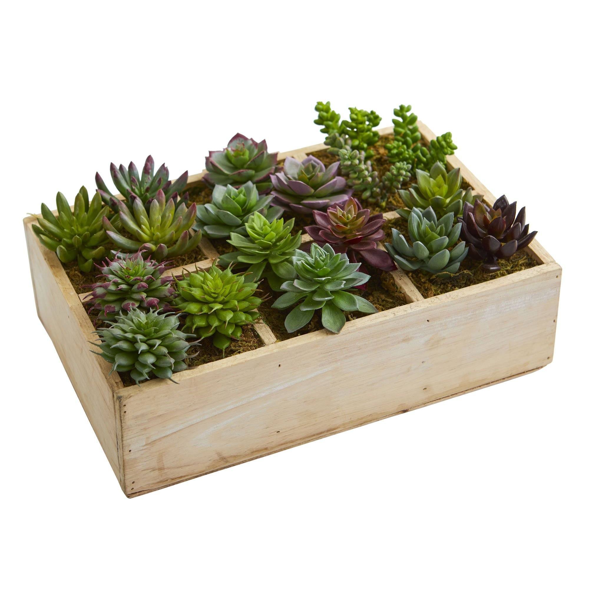  12” Mixed Succulent Garden in Tray Artificial Plant 