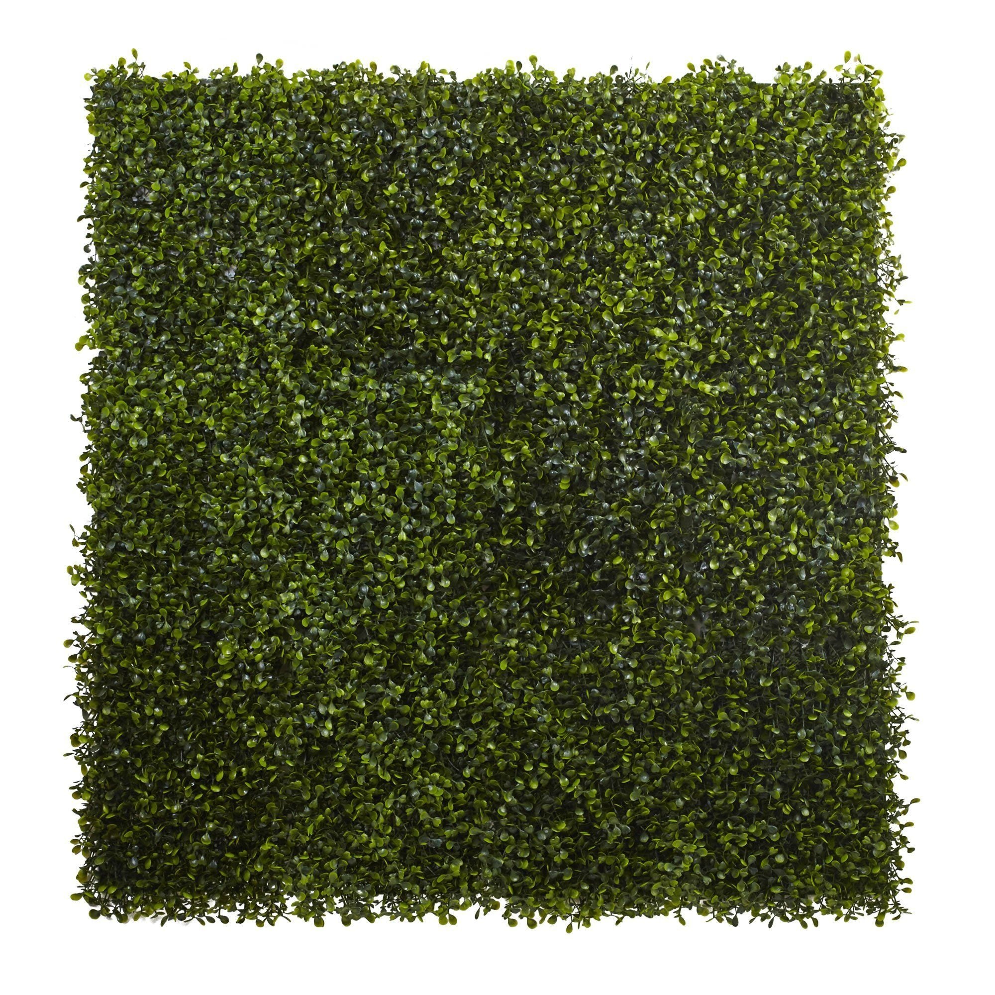  12” x 10” Boxwood Mat (Set of 12) 