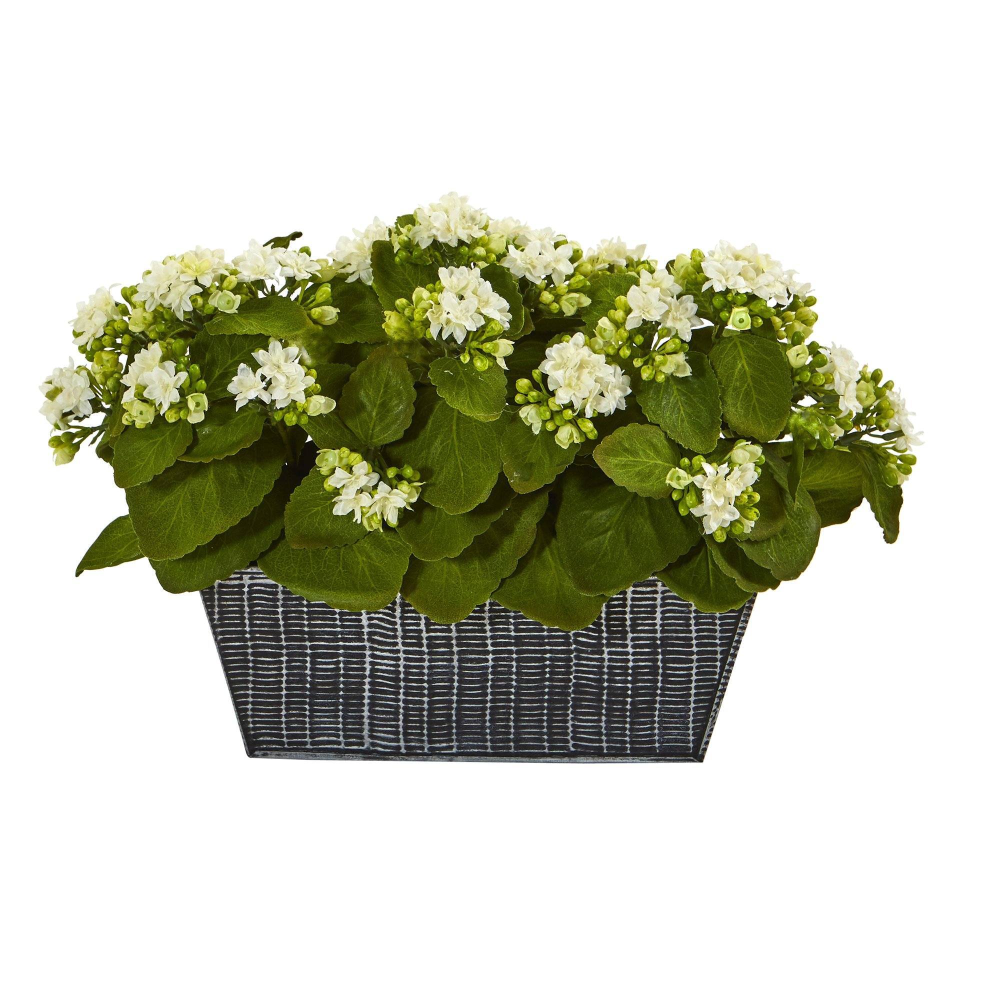 14” Kalanchoe Artificial Plant in Black Embossed Planter | Nearly Natural