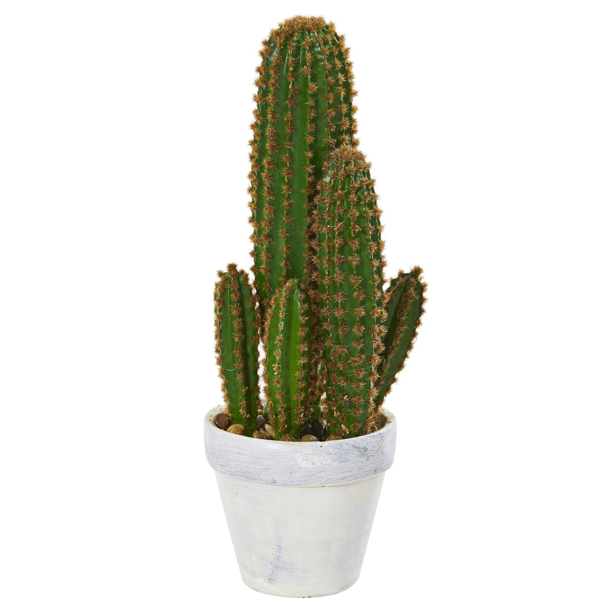  1.5’ Cactus Succulent Artificial Plant 