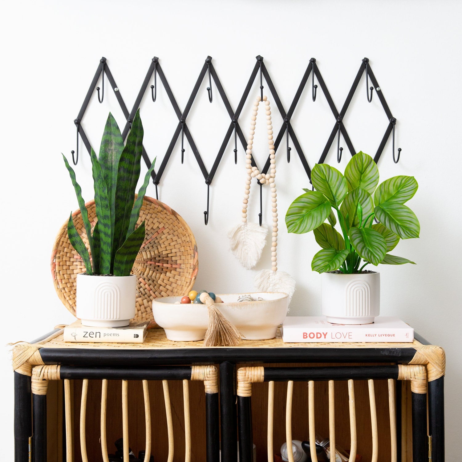 Sansevieria w/Black Planter