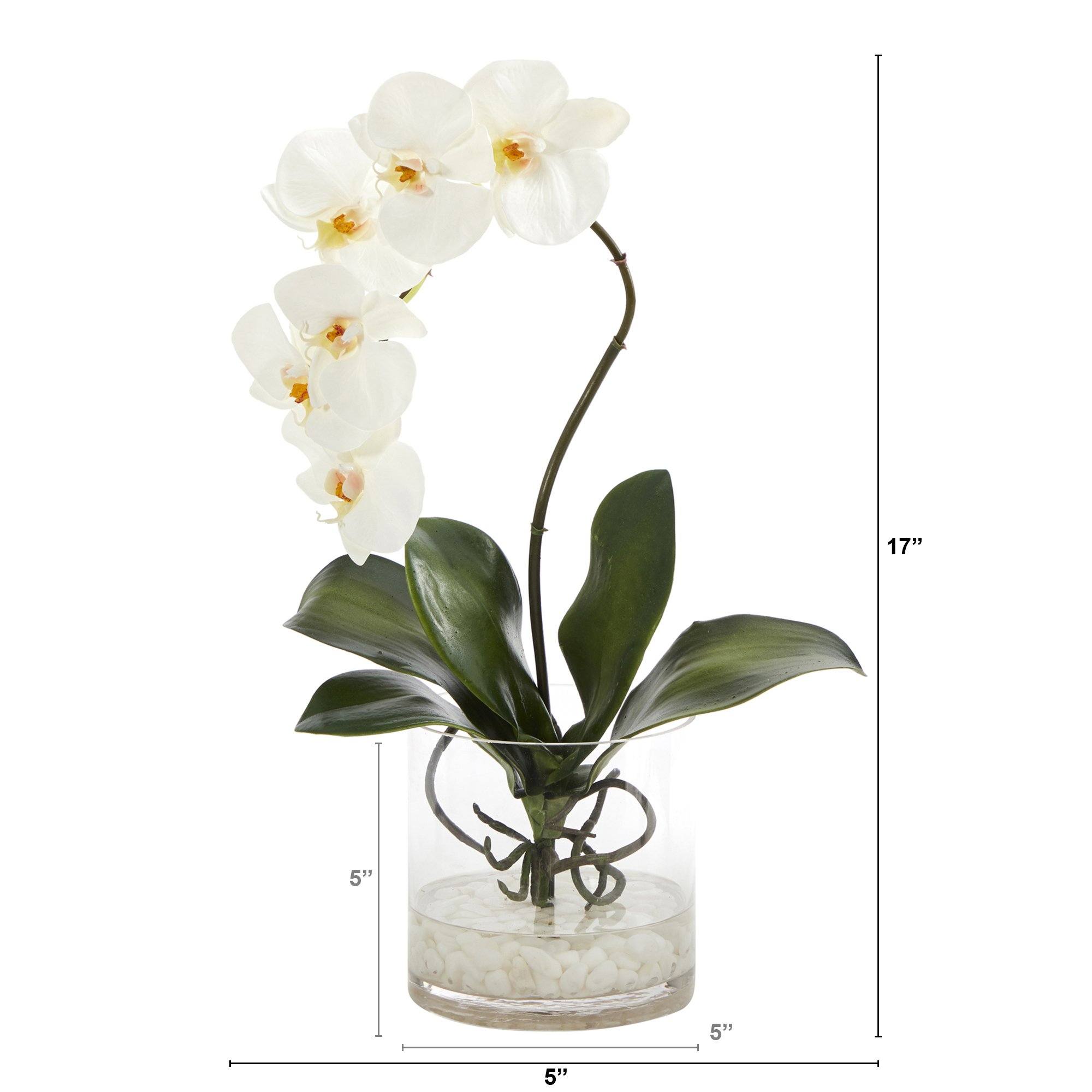 17” Phalaenopsis Orchid Artificial Arrangement In Glass Vase Nearly Natural