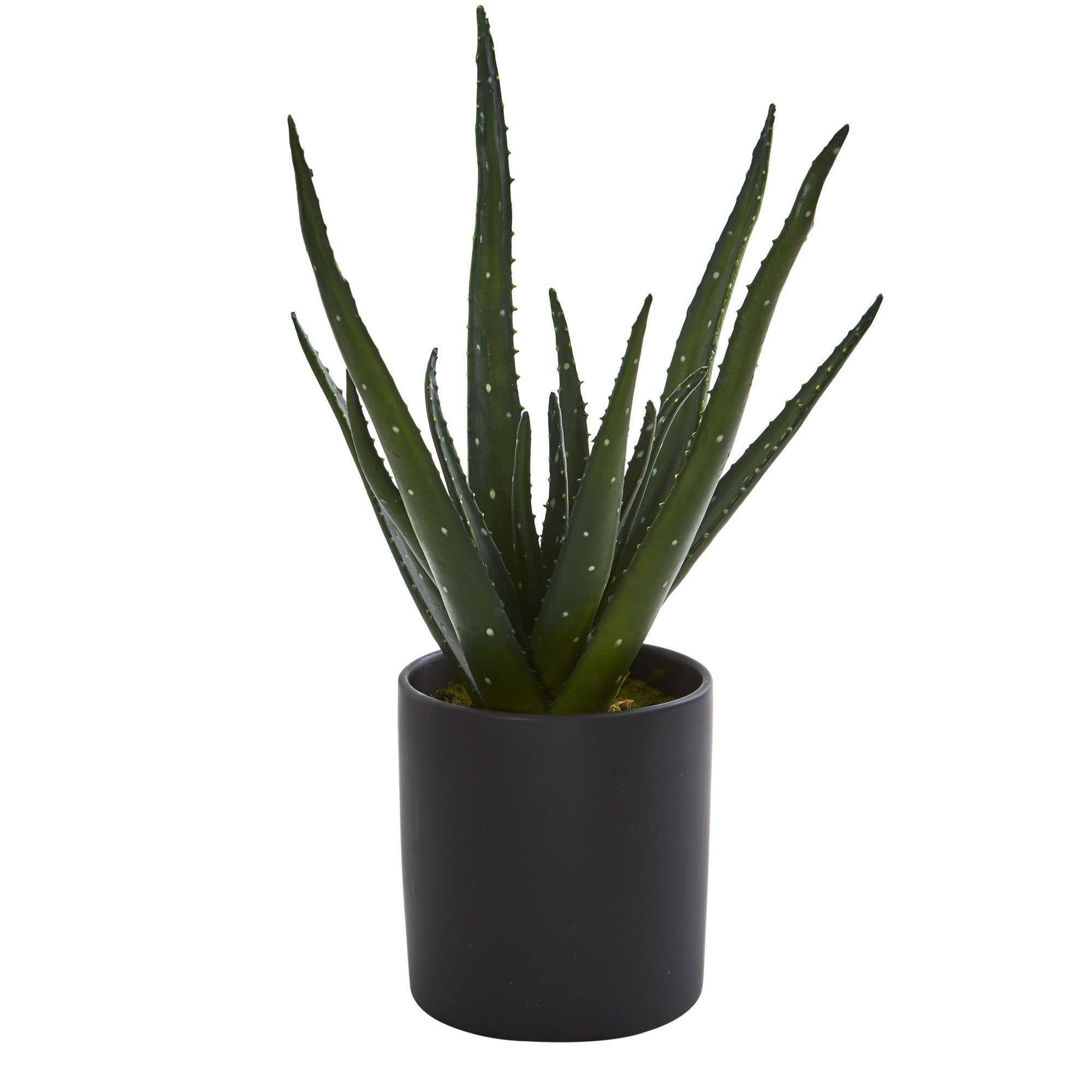  19” Aloe Artificial Plant with Planter 