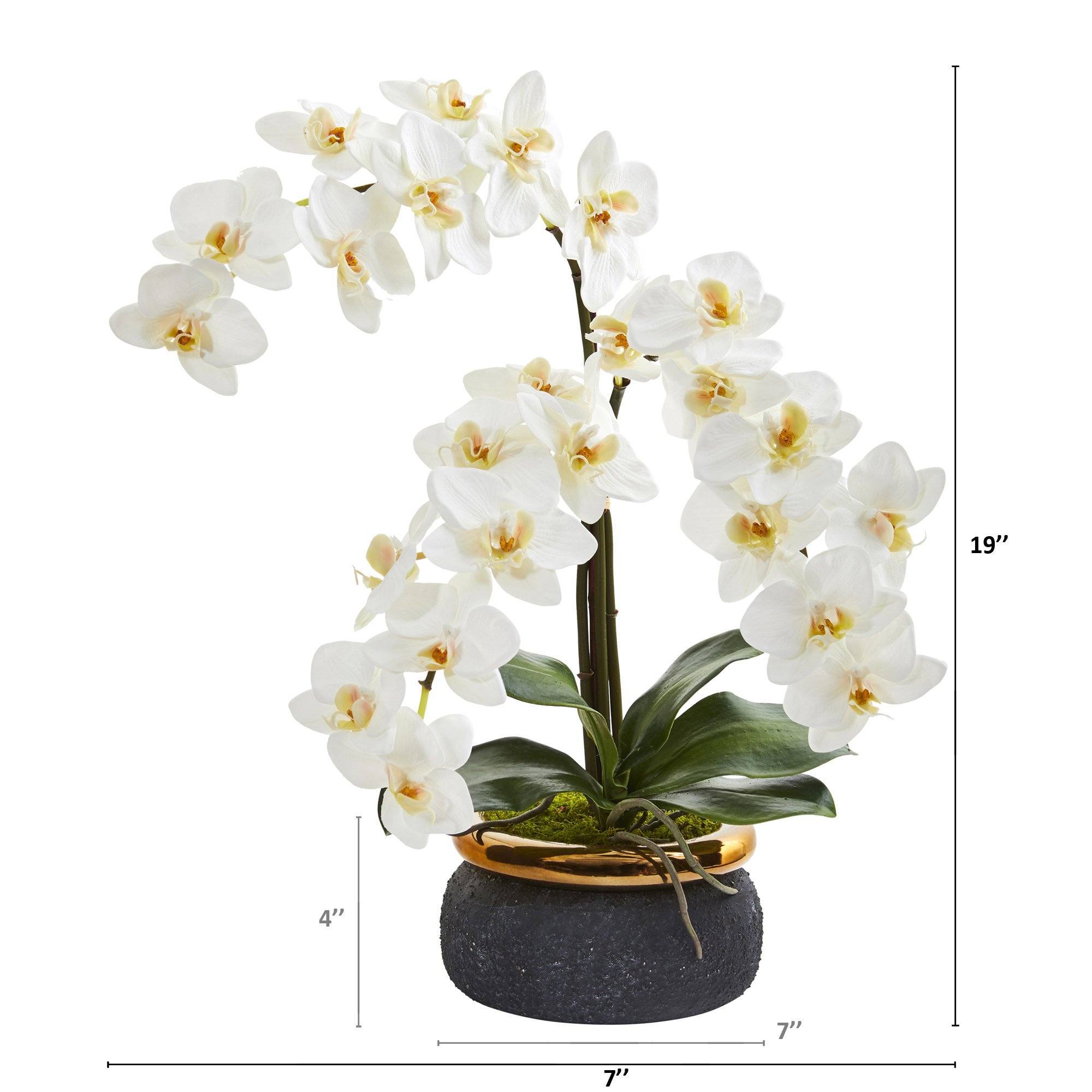 19” Triple Phalaenopsis Orchid Artificial Arrangement in Black Vase ...