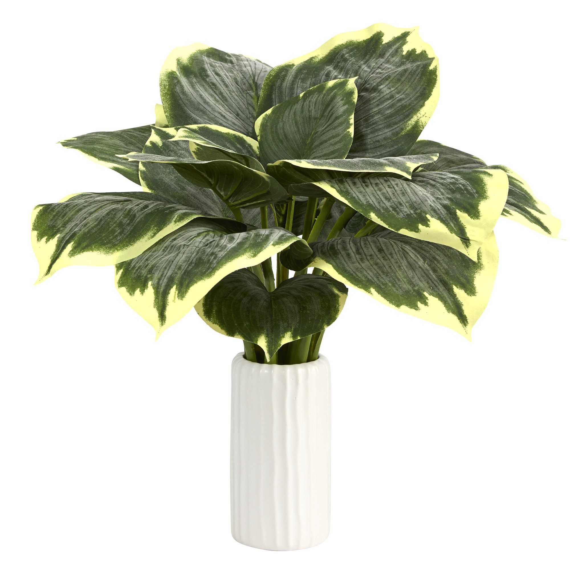 19” Variegated Hosta Artificial Plant in White Planter | Nearly Natural