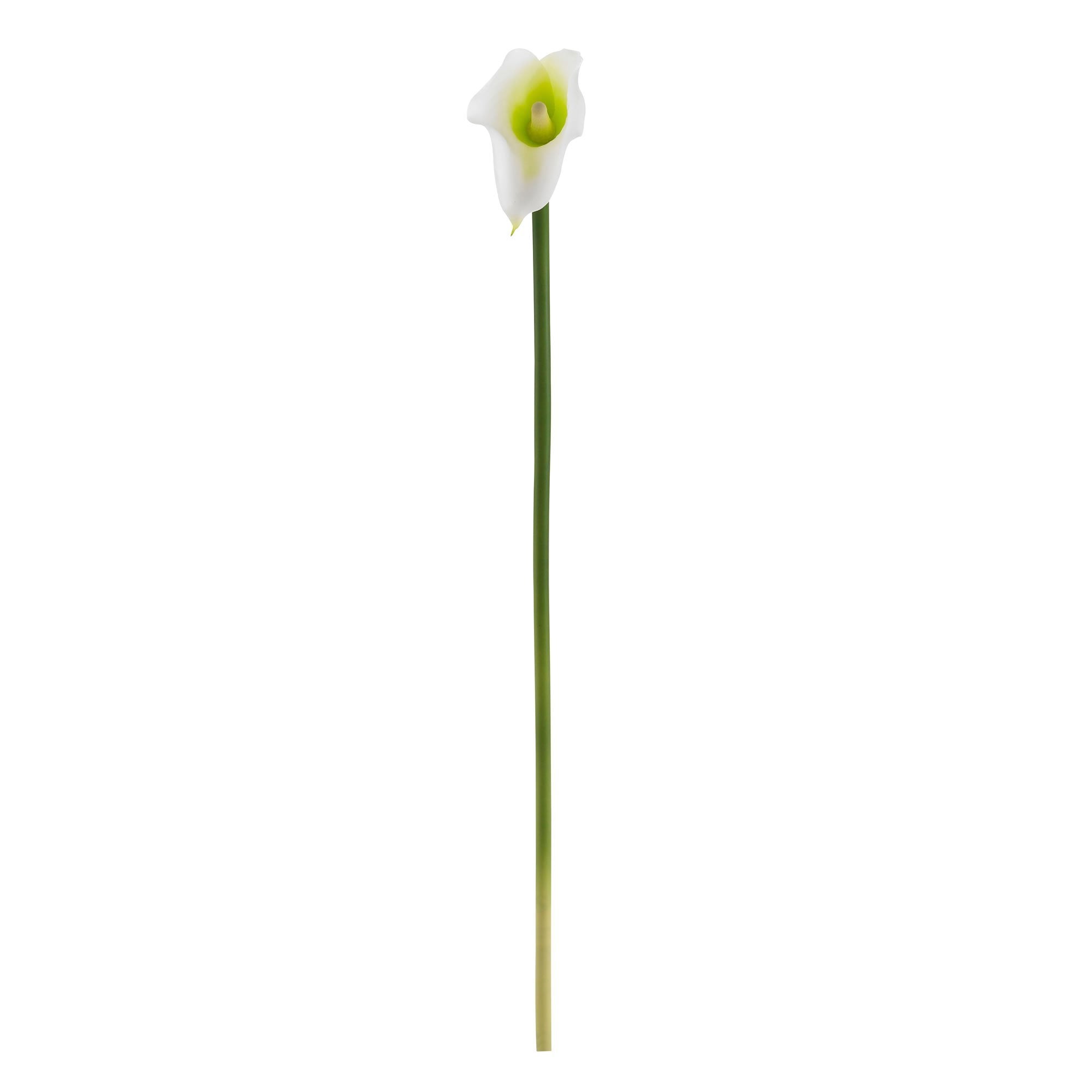  19.5” Calla Lily Artificial Flower (Set of 12) 