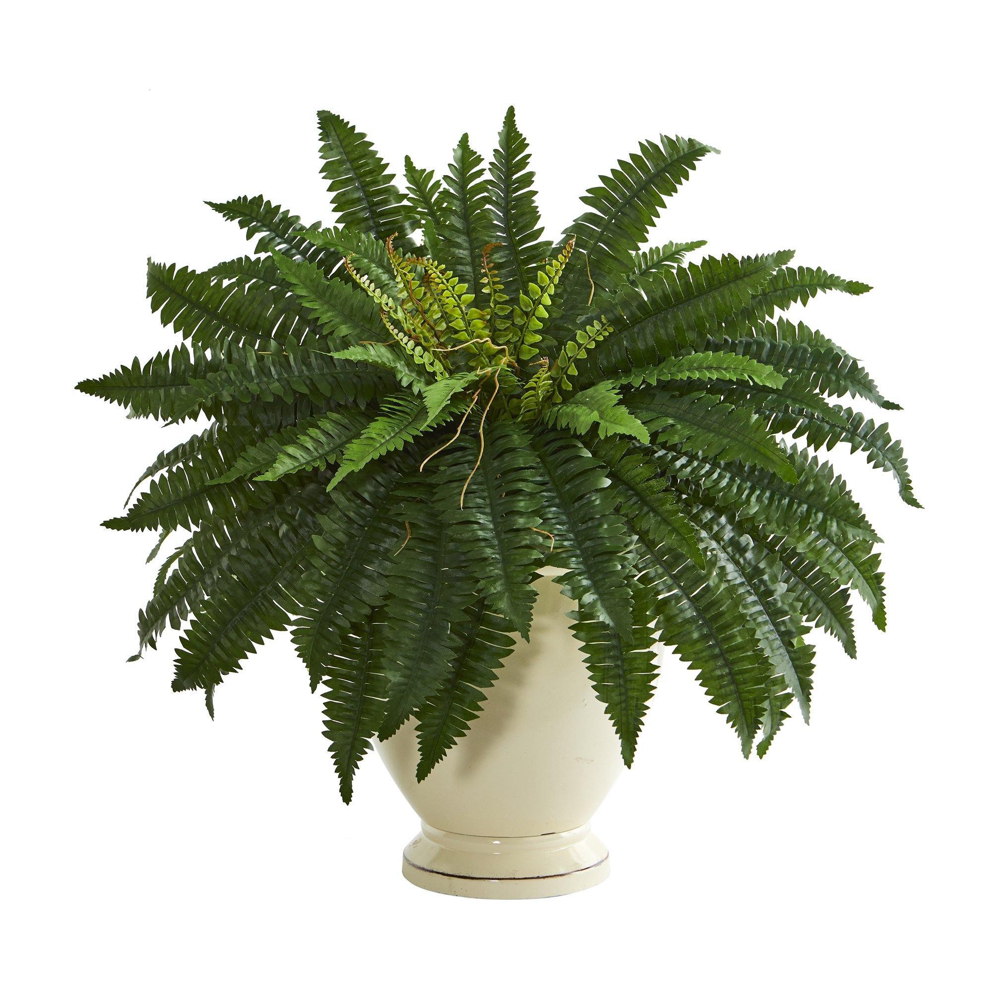 Artificial Ferns For Outdoors - Mary Blog