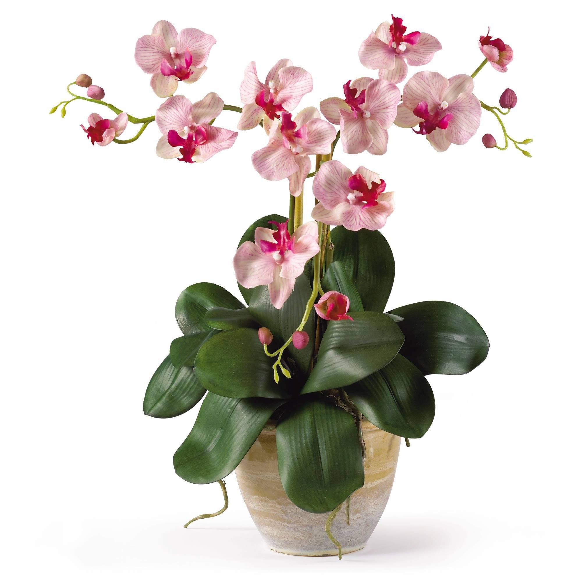  20" Artificial Mini Phalenopsis Moth Silk Orchid Arrangement" 