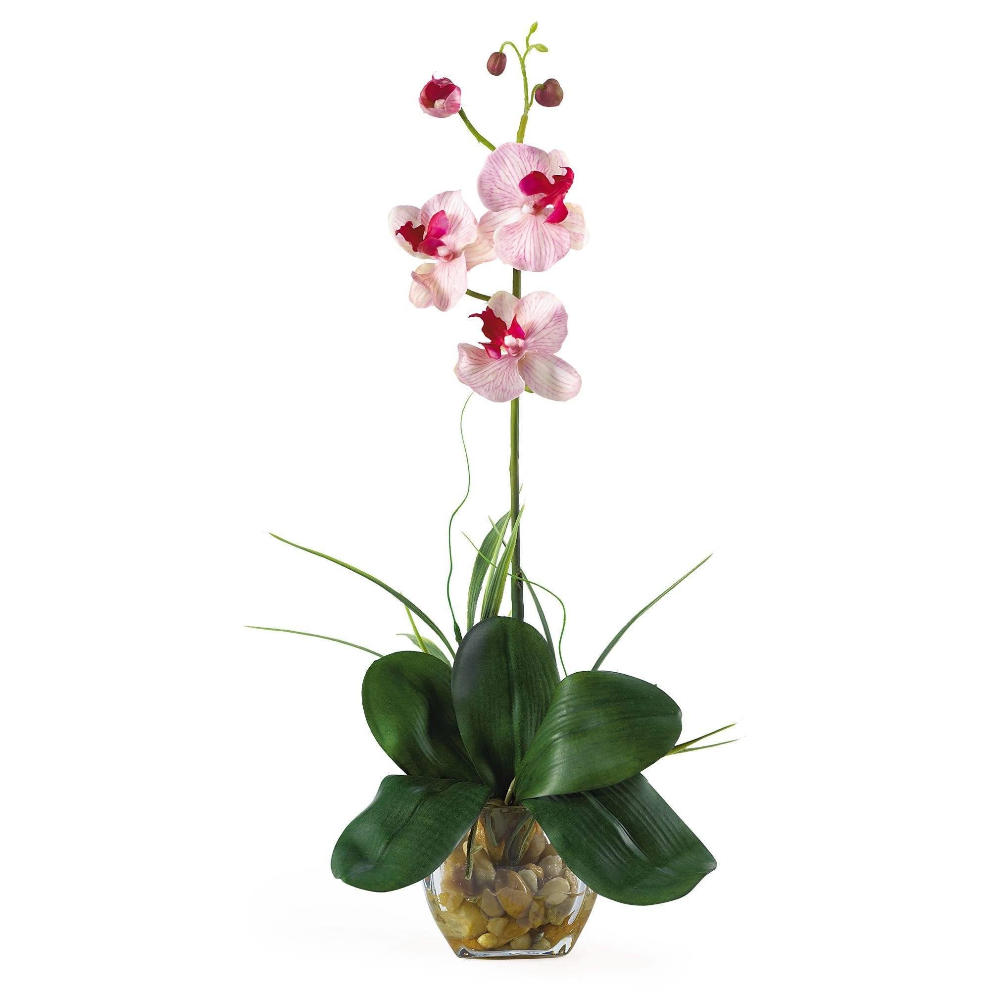  20" Mini Phalaenopsis Liquid Illusion Silk Orchid Artificial Arrangement" 