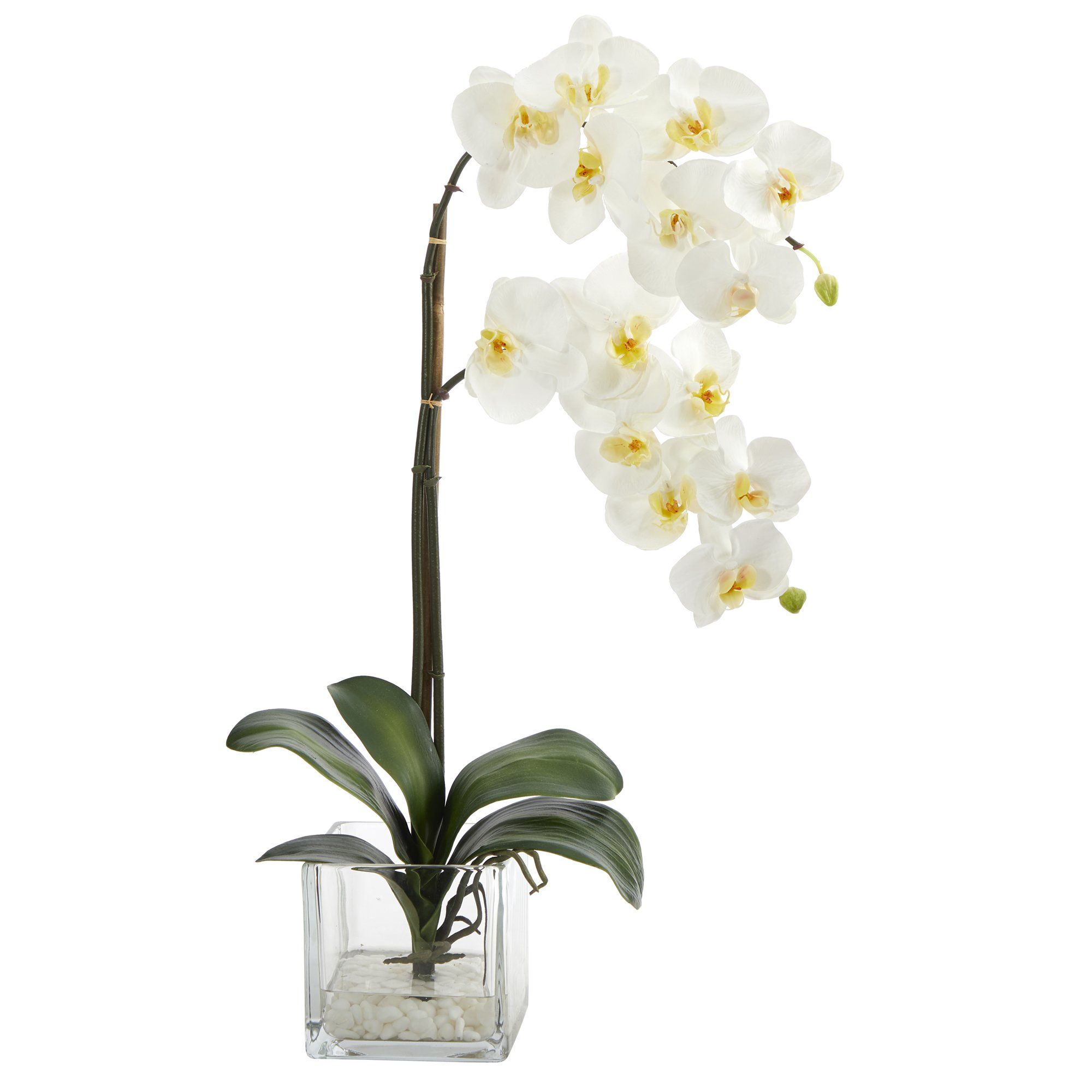  21” Phalaenopsis Orchid Artificial Arrangement in Glass Vase 