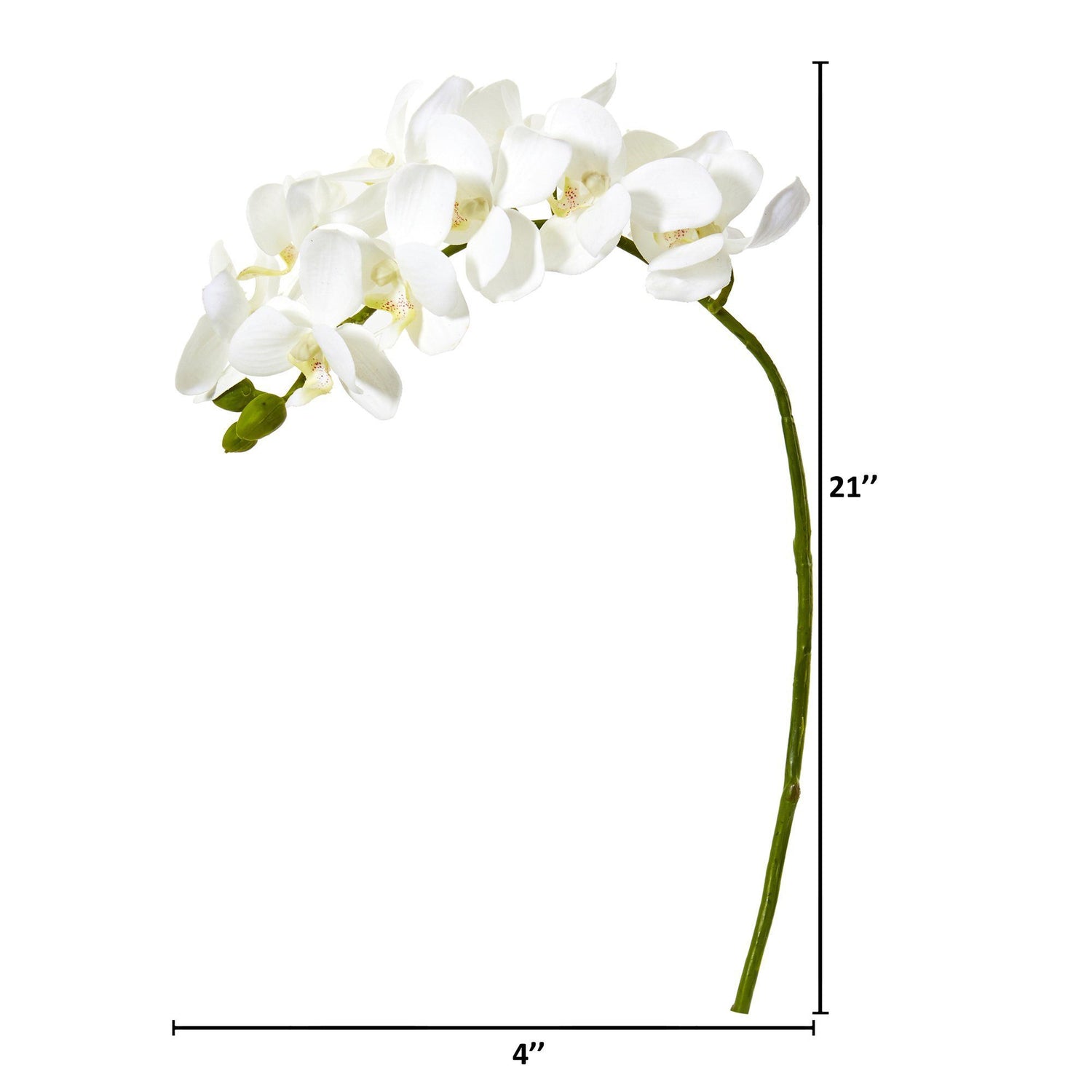 21“人工蝴蝶兰属兰花的花(6组)