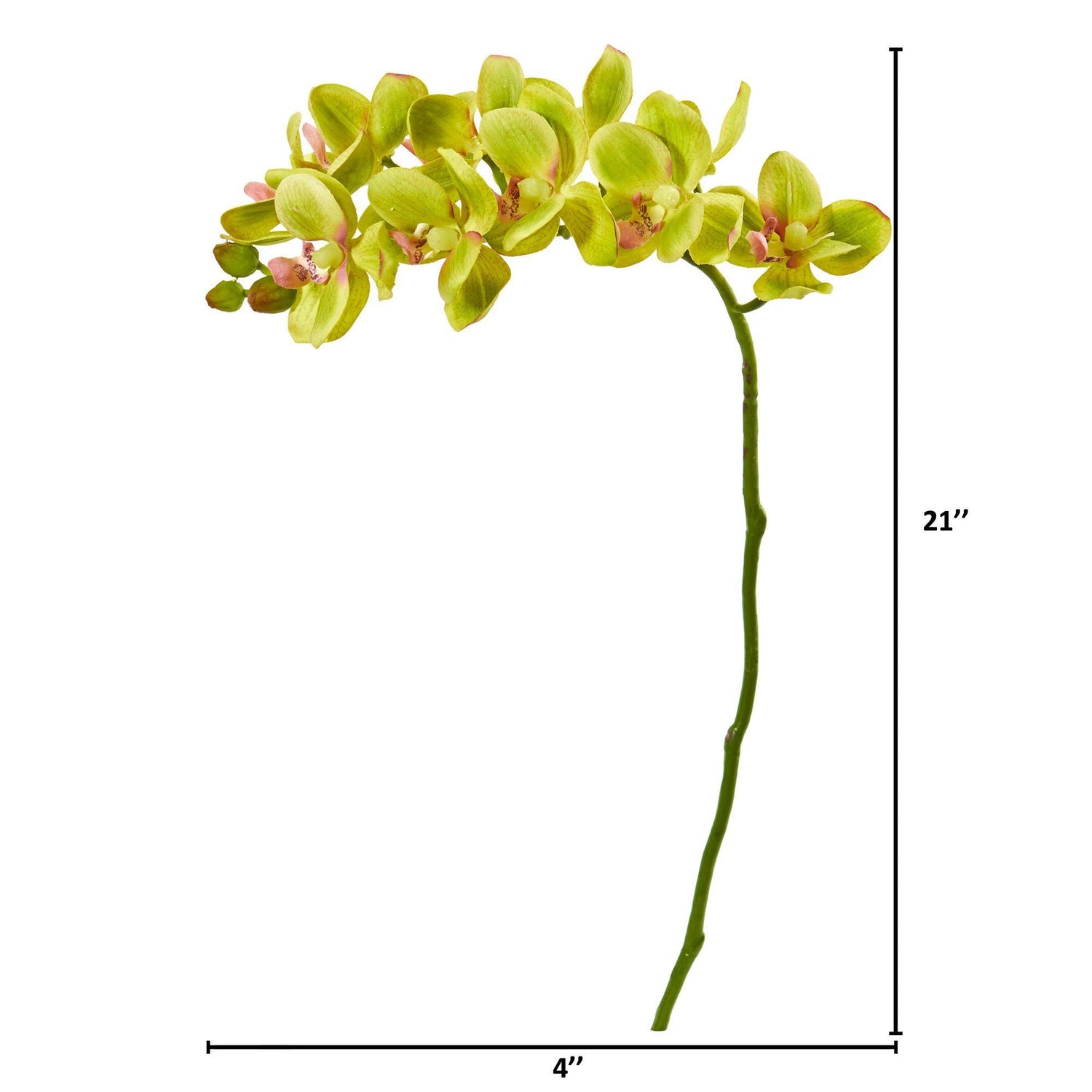 21“人工蝴蝶兰属兰花的花(6组)