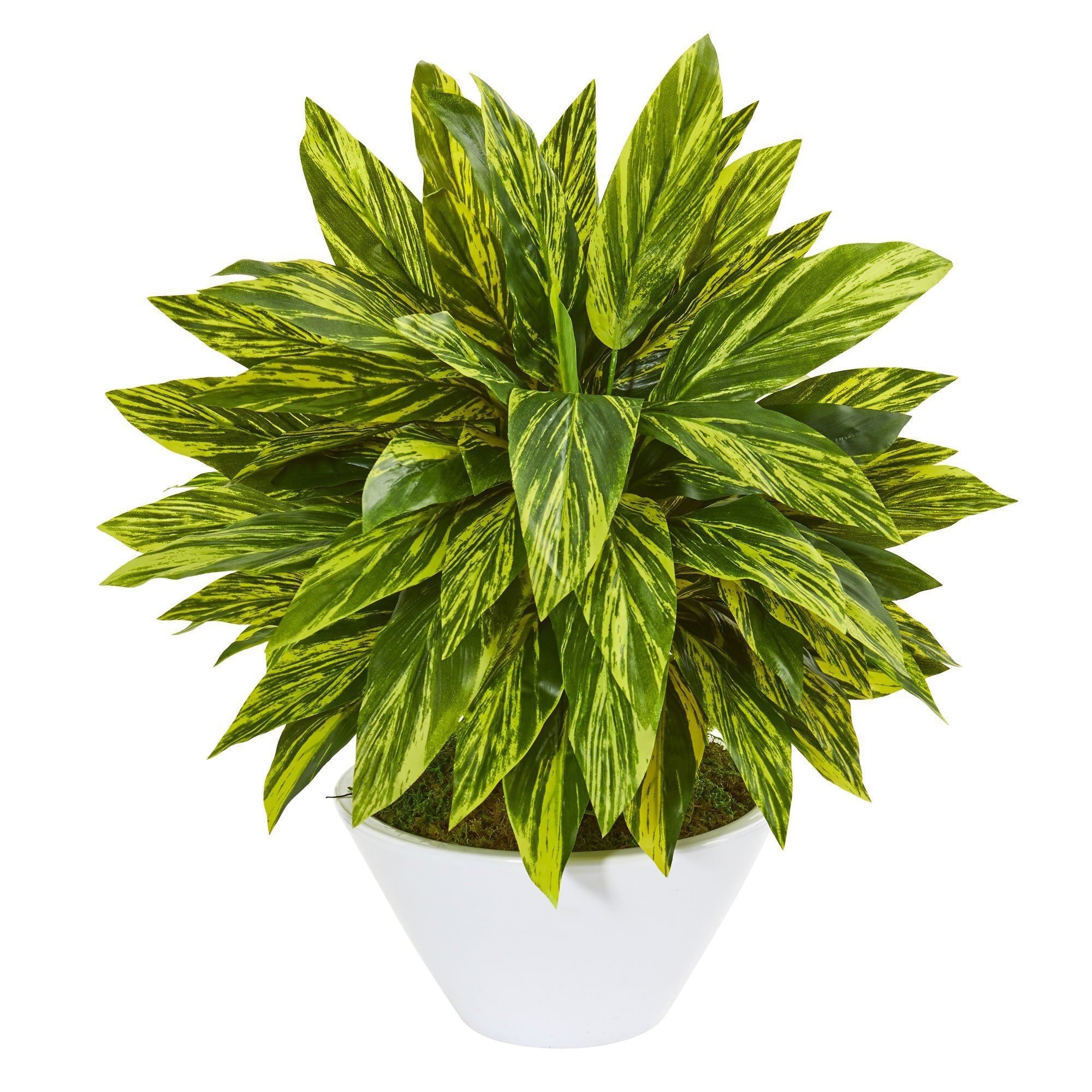  21” Tradescantia Artificial Plant in White Vase (Real Touch) 