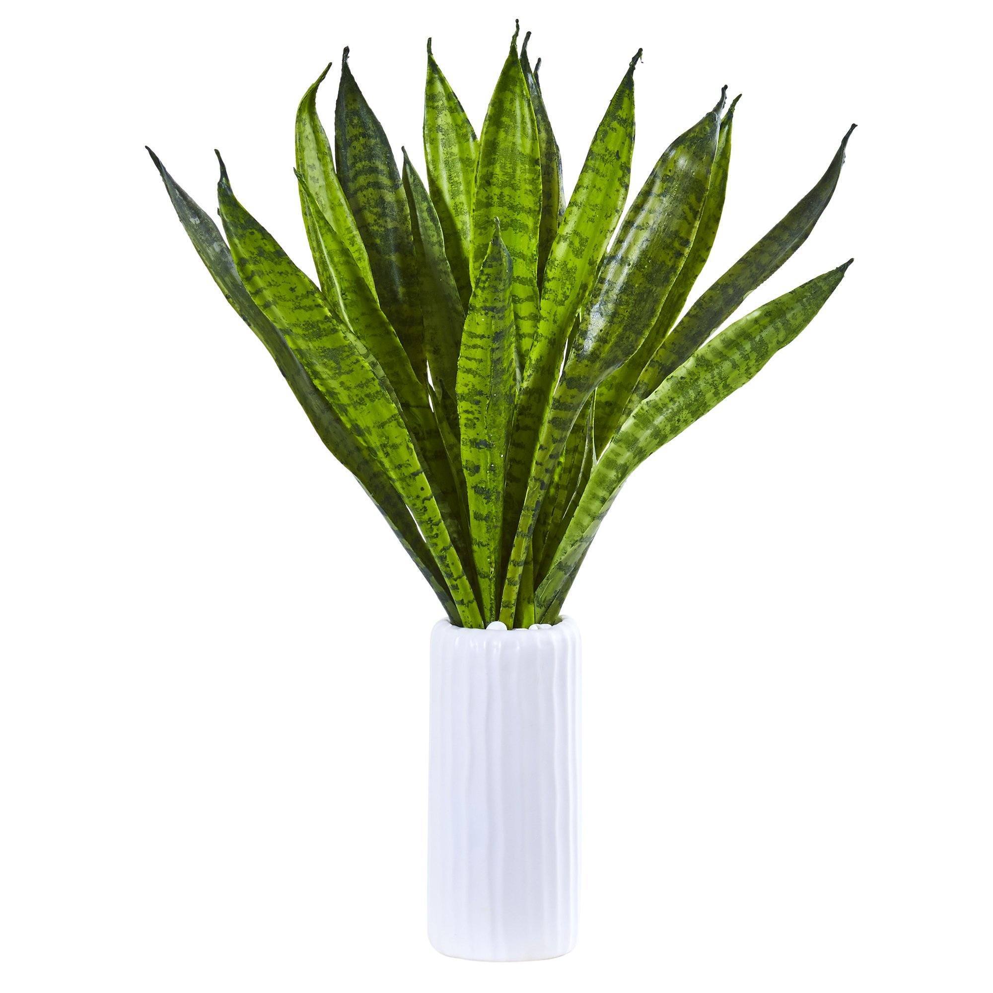 22" Sansevieria Artificial Plant in White Vase | Nearly ...