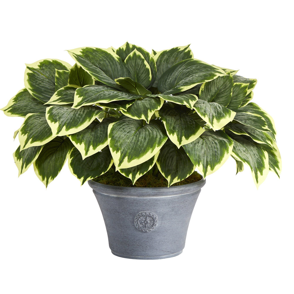 23” Variegated Hosta Artificial Plant in Gray Planter | Nearly Natural
