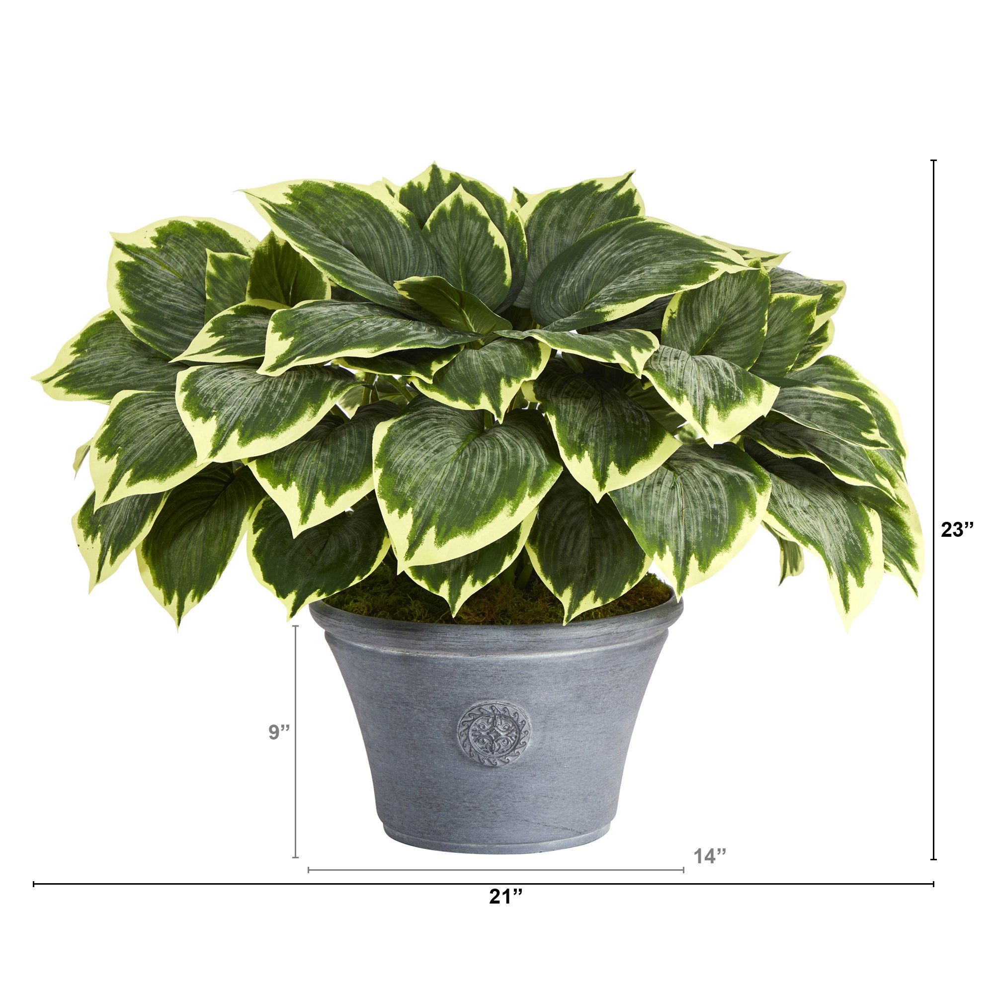 23” Variegated Hosta Artificial Plant in Gray Planter | Nearly Natural