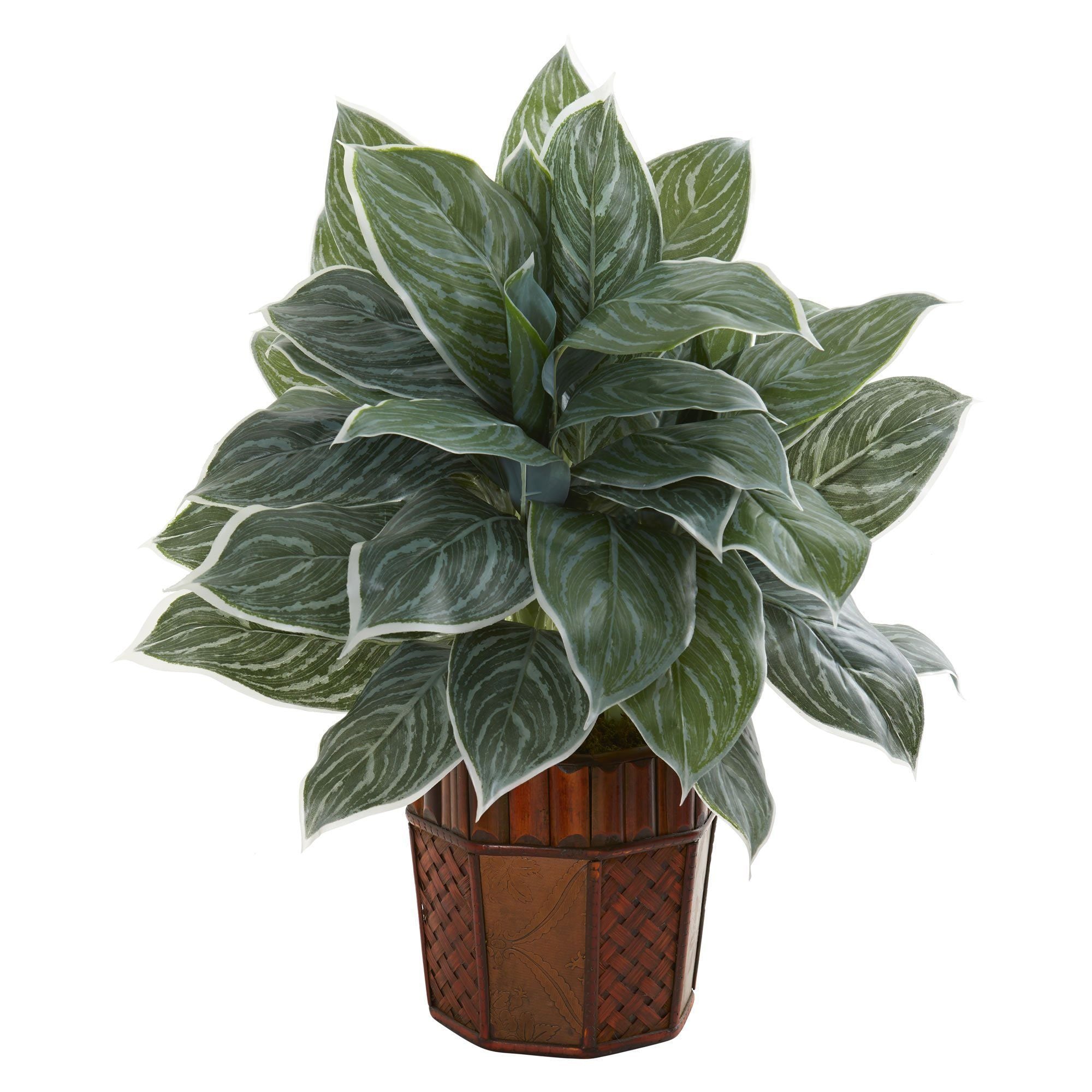 25” Aglonema Artificial Plant in Decorative Planter (Real Touch ...