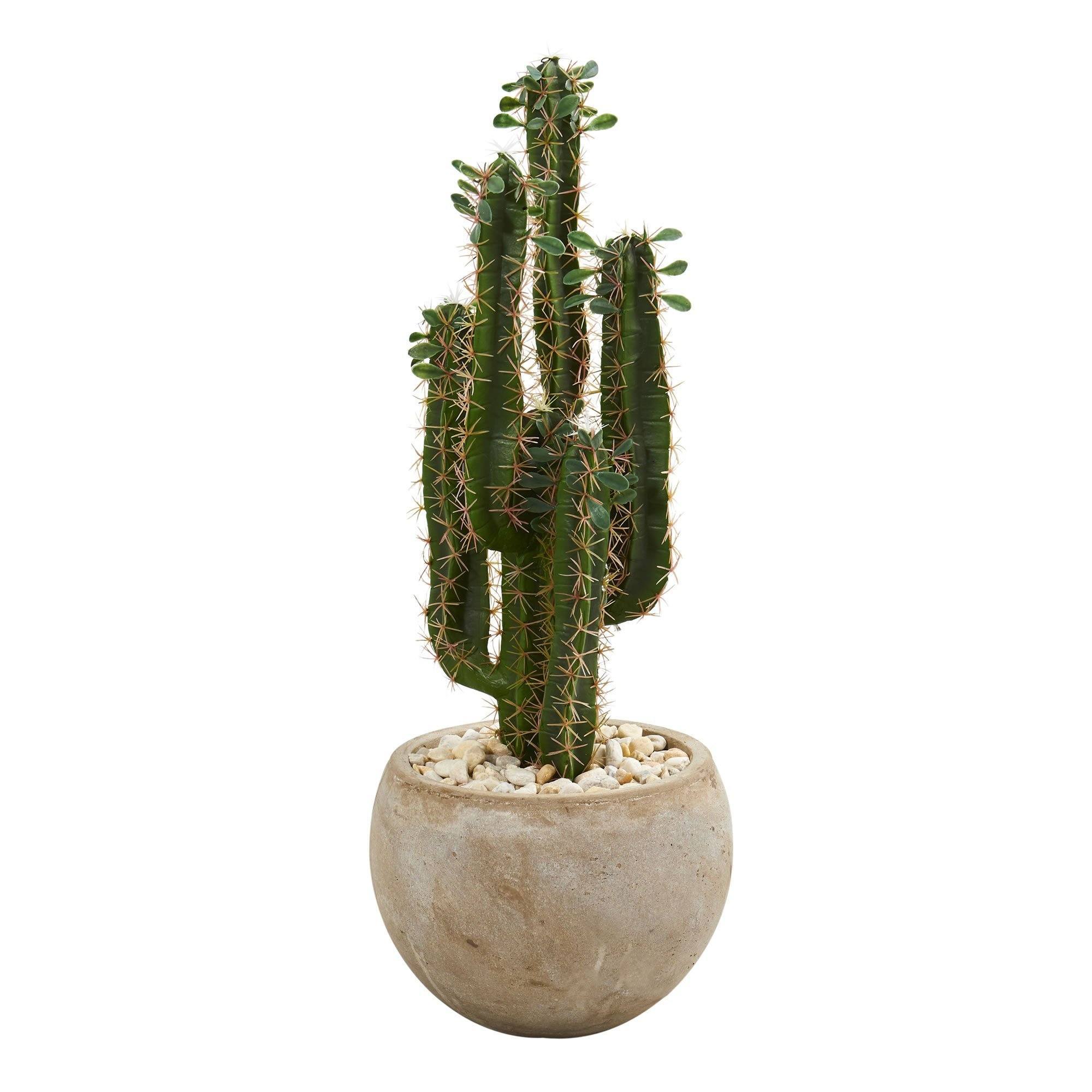 Image of 2.5’ Cactus Artificial Plant in Bowl Planter