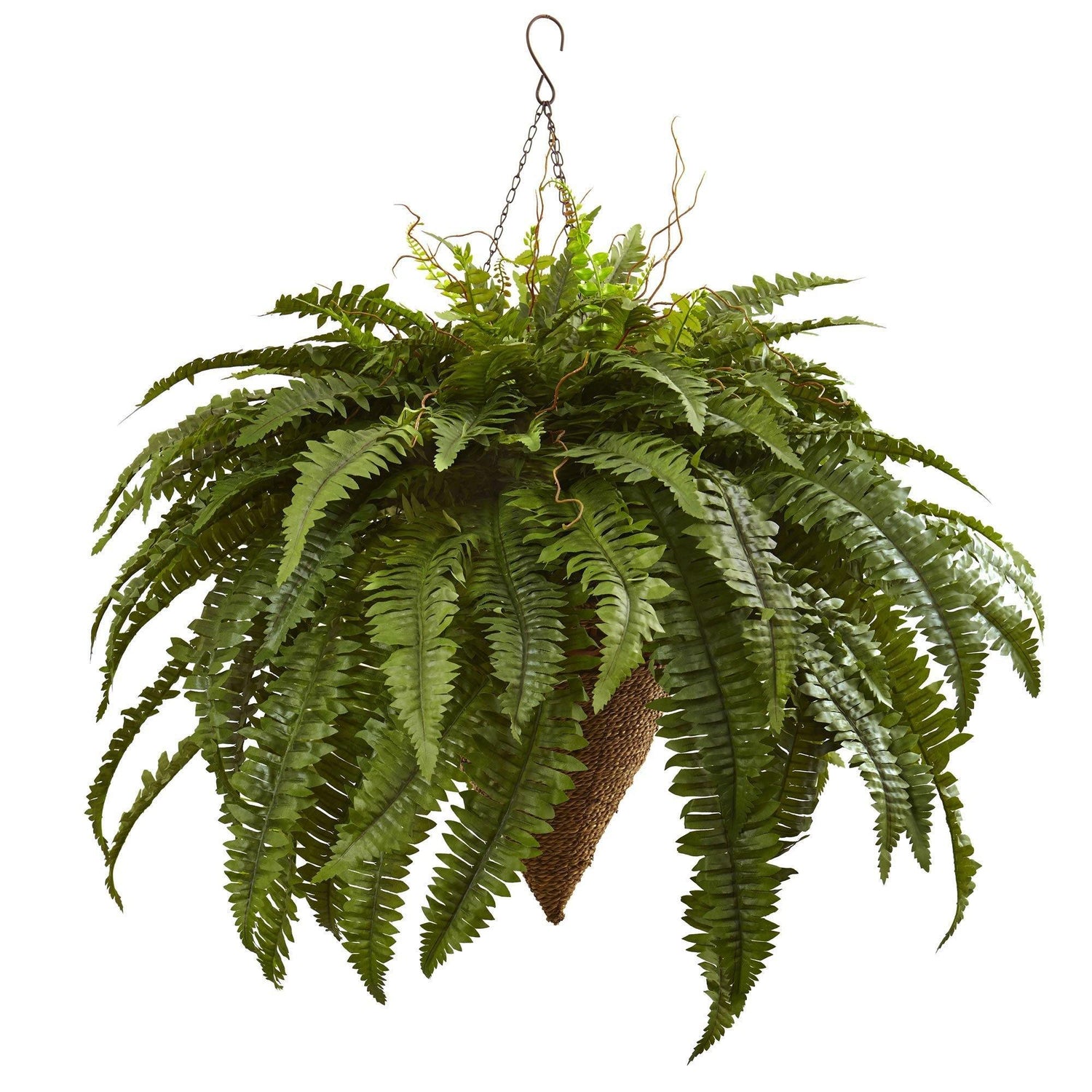 https://cdn.shopify.com/s/files/1/0108/9460/6436/products/artificial-26-artificial-giant-boston-fern-with-cone-hanging-basket-nearly-natural-803118.jpg?v=1584156978&width=1500