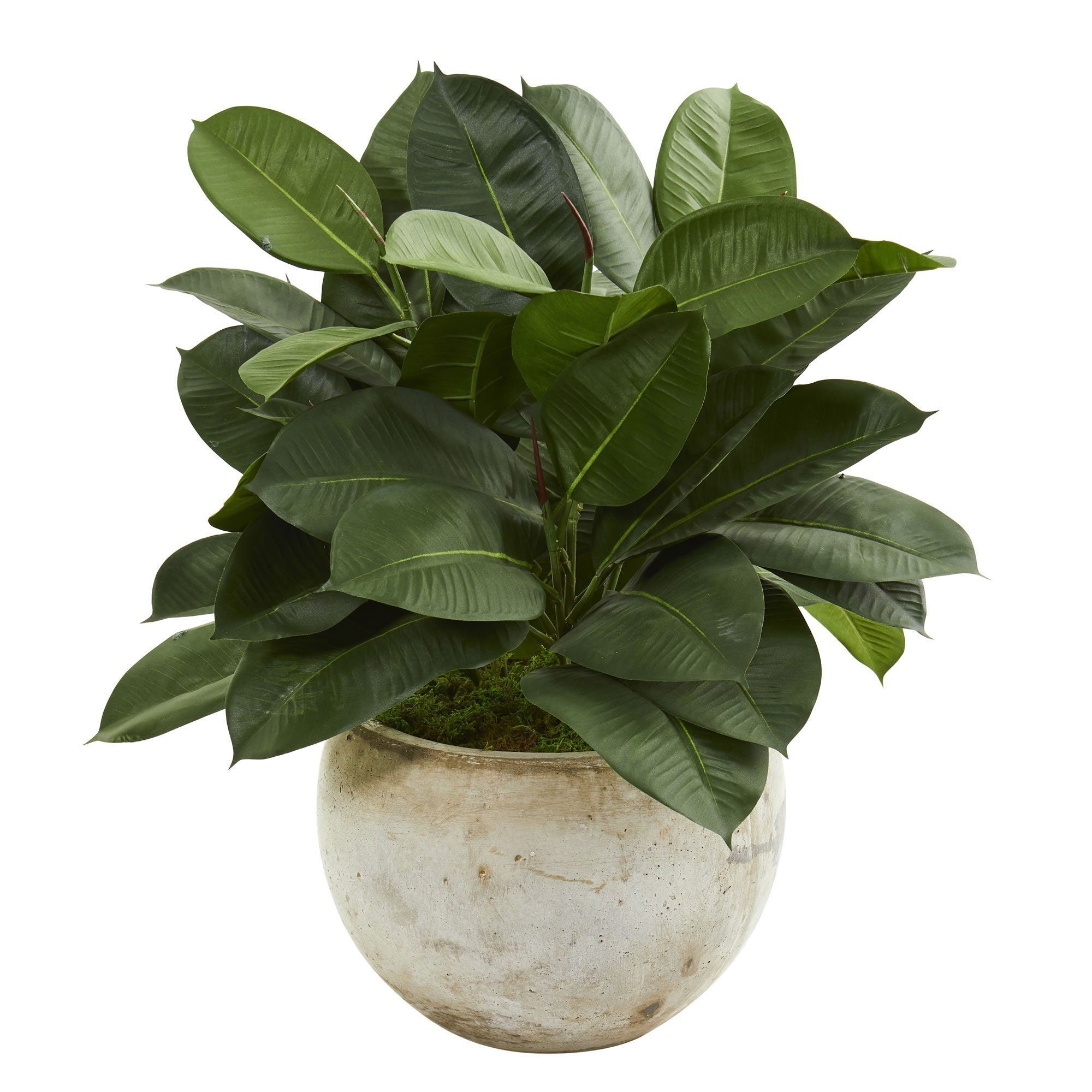 26” Artificial Rubber Plant in Stone Planter | Nearly Natural