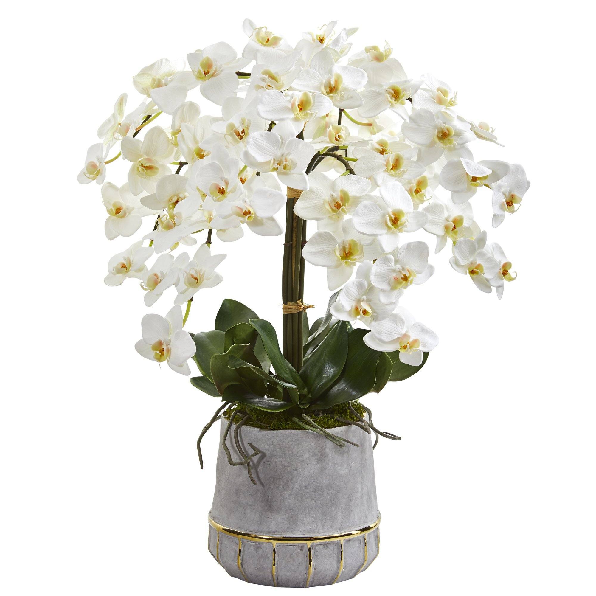  26” Phalaenopsis Orchid Artificial Arrangement in Stoneware Vase with Gold Trimming 