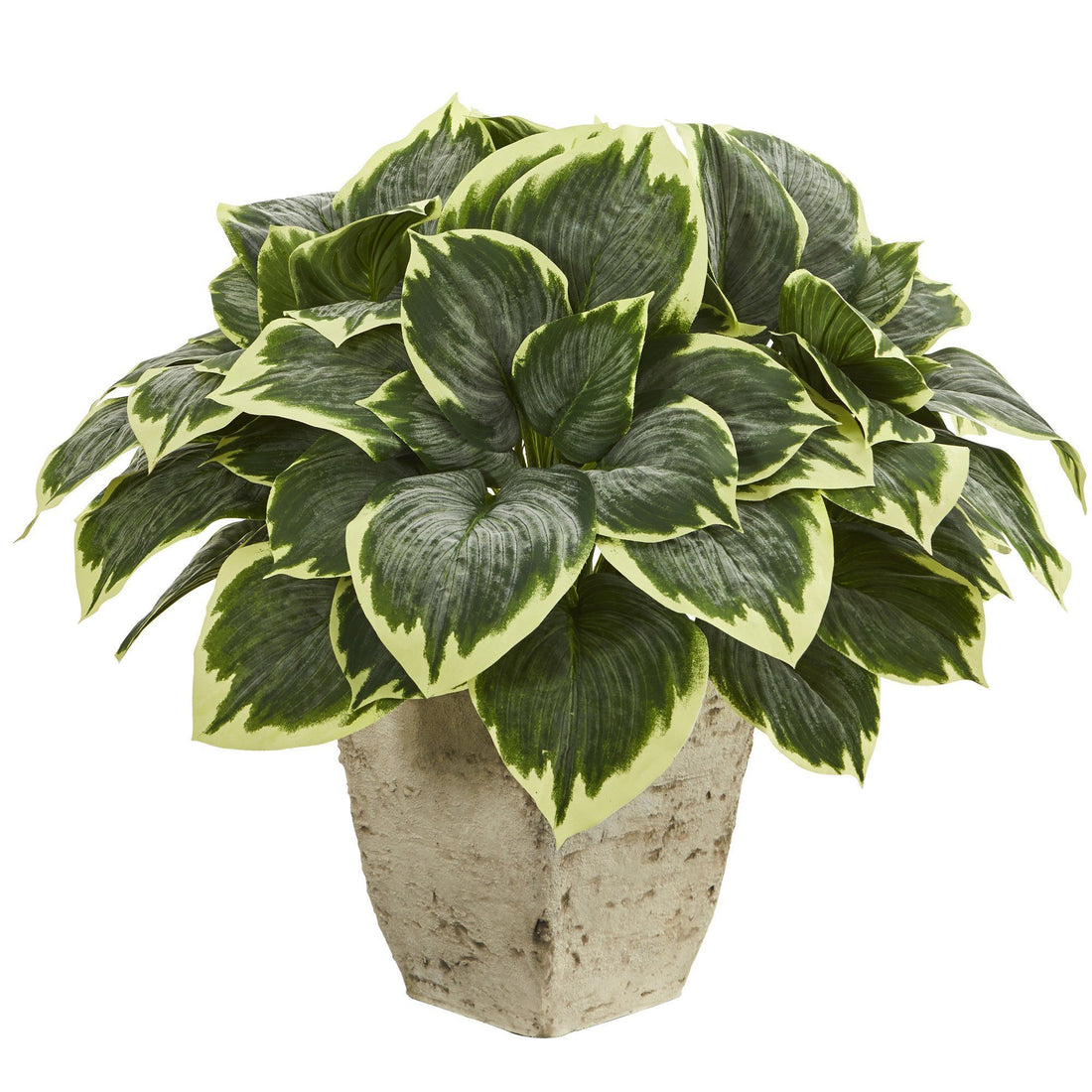 26” Variegated Hosta Artificial Plant in Country White Planter | Nearly ...