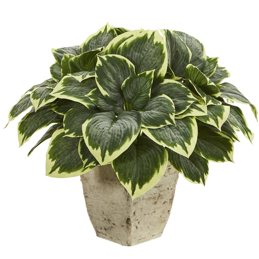 26” Variegated Hosta Artificial Plant in Country White